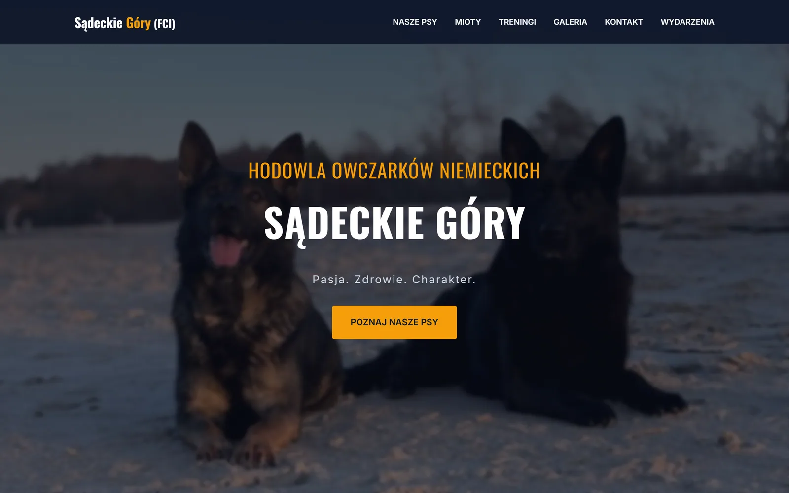 Hodowla „Sądeckie Góry” (FCI)